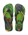 The Havaianas Mens Ipe Flip Flops in Green & Green