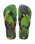 The Havaianas Mens Ipe Flip Flops in Green & Green