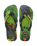 The Havaianas Mens Ipe Flip Flops in Green & Green