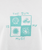 The Born by the Sea Womens Muse Crop T-Shirt in Seafoam