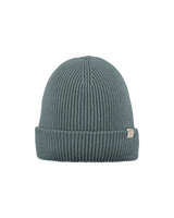 Boys Kinabalu Beanie in Dark Celadon