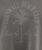 The Born by the Sea Womens Cornwall Palm Heavy Faded Crop T-Shirt in Faded Grey