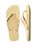The Havaianas Mens Brazil Logo Flip Flops in Buttercream