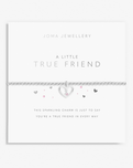 A Little True Friend Bracelet in Silver
