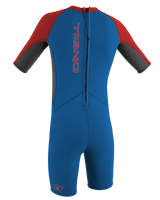 The O'Neill Boys Reactor-2 2mm Back Zip Shorty Wetsuit in Ocean, Graphite & Red