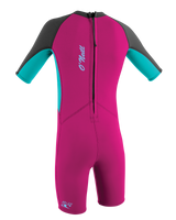 The O'Neill Girls Reactor-2 2mm Back Zip Shorty Wetsuit in Berry, Light Aqua & Graphite