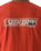 Seeker T-Shirt in Autumn