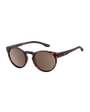 The Dirty Dog Flash Polarised Sunglasses in Tortoise Brown
