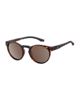 The Dirty Dog Flash Polarised Sunglasses in Tortoise Brown