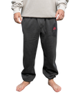 The Salt Water Seeker Mens Embroidered Joggers in Faded Black