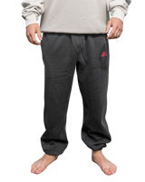 The Salt Water Seeker Mens Embroidered Joggers in Faded Black