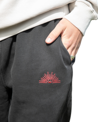 The Salt Water Seeker Mens Embroidered Joggers in Faded Black