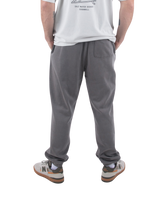 Embroidered Joggers in Faded Grey