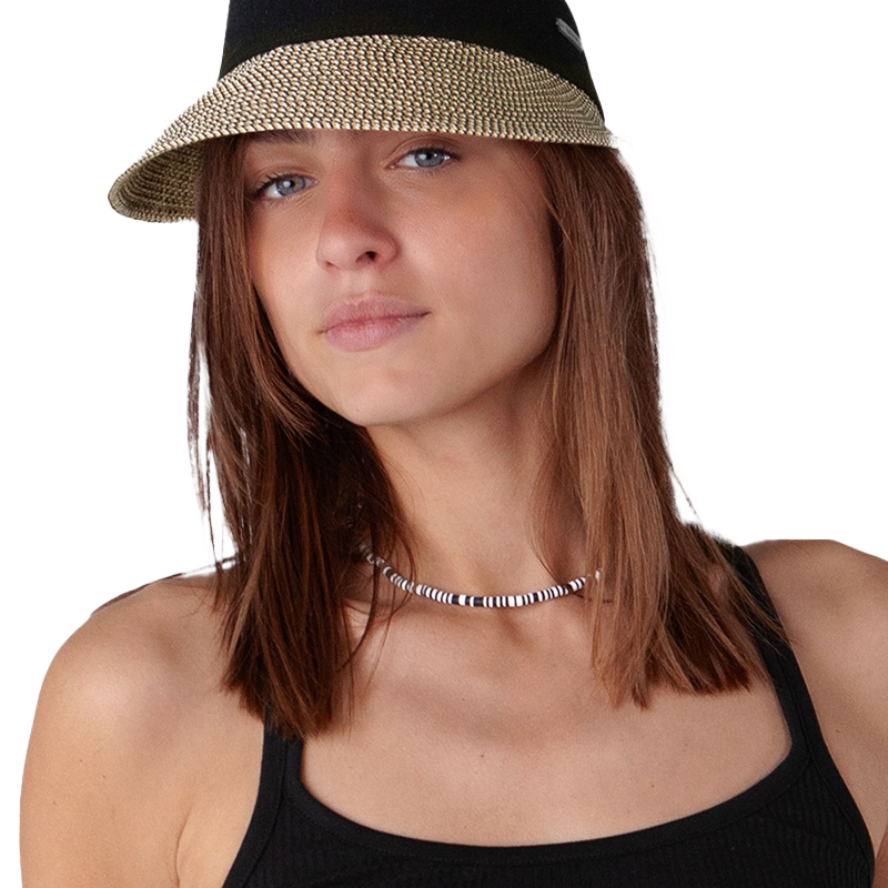 Vesder Visor