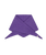 The Barts Womens Fhearna Scarf in Purple