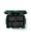 The Yeti LoadOut Gobox 30 Gear Case in Black Forest Green