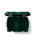 The Yeti LoadOut Gobox 30 Gear Case in Black Forest Green