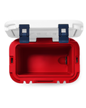 Roadie 15 Cooler in Summer Anthem