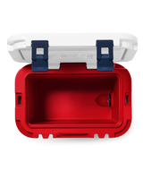Roadie 15 Cooler in Summer Anthem