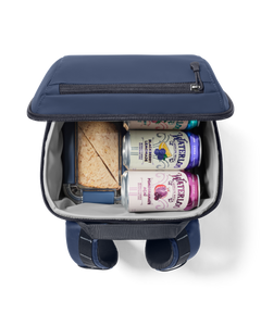 Daytrip 20L Insulated Backpack in Classic Navy