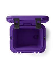 Roadie 24 Cooler 2.0 in Pace Purple & Speckle