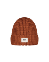 The Barts Boys Boys Zerman Beanie in Brick