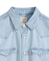 Barstow Western Standard Shirt in Solucell Worn-in