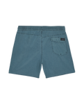 Center Swimshorts in Tradewinds