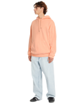 The Volcom Mens Single Stone Pullover Hoodie in Pale Peach