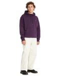 The Volcom Mens Single Stone Pullover Hoodie in Grape Royale
