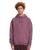 The Volcom Mens Stone Hoodie in Orchid