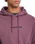 The Volcom Mens Stone Hoodie in Orchid
