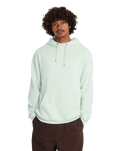 Single Stone Hoodie in Pale Aqua