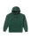 Stone Hoodie in Scarab