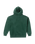 Stone Hoodie in Scarab
