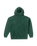 Stone Hoodie in Scarab