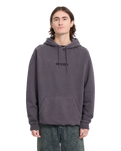 The Volcom Mens Big Stone Hoodie in Raisin