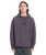 The Volcom Mens Big Stone Hoodie in Raisin