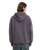 The Volcom Mens Big Stone Hoodie in Raisin