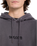 The Volcom Mens Big Stone Hoodie in Raisin