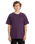 The Volcom Mens Pistol Stone T-Shirt in Grape Royale