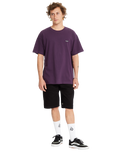 The Volcom Mens Pistol Stone T-Shirt in Grape Royale