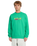 The Volcom Mens Watanite Crew Sweatshirt in Mint