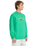 The Volcom Mens Watanite Crew Sweatshirt in Mint