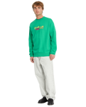 The Volcom Mens Watanite Crew Sweatshirt in Mint