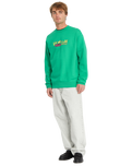 The Volcom Mens Watanite Crew Sweatshirt in Mint