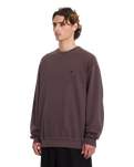 Single Stone Sweatshirt in Pistol Punch