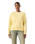 The Levi's® Womens Everyday Sweatshirt in French Vanilla