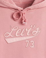 Graphic Heritage Hoodie in Satin SC