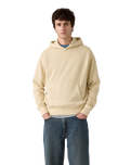 The Levi's® Mens Authentic Hoodie in Garment Dye Fog
